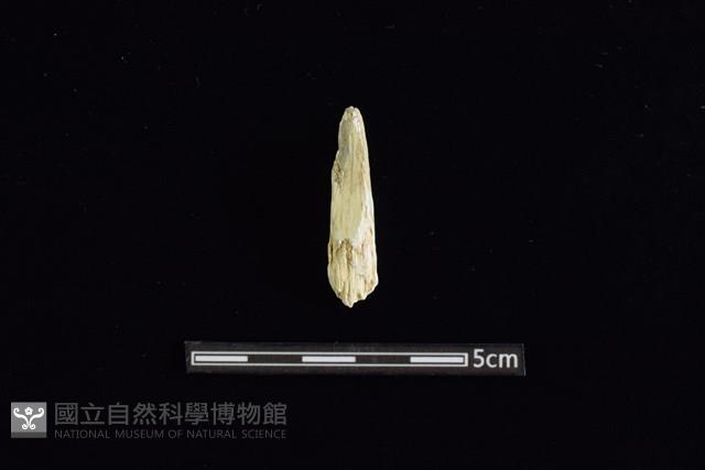 玉料藏品圖，第1張