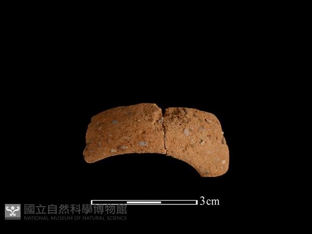 Accession Number:BY-2017-0956 Collection Image, Figure 2, Total 2 Figures