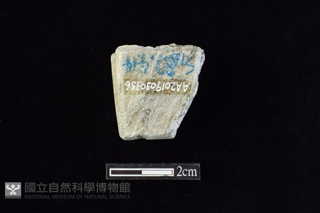 錛鑿形器藏品圖，第1張