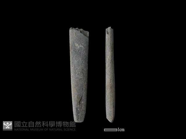 磨製石棒藏品圖，第1張