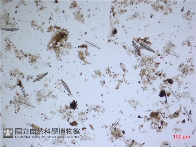 登錄號:A00004626藏品圖，第2張