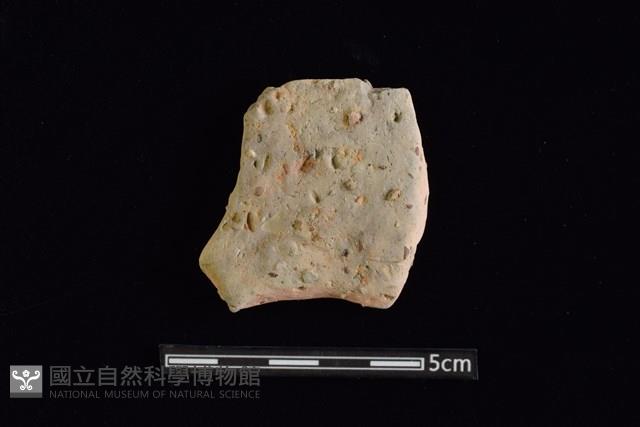 陶片藏品圖，第1張