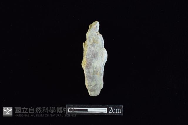 錛鑿形器藏品圖，第1張
