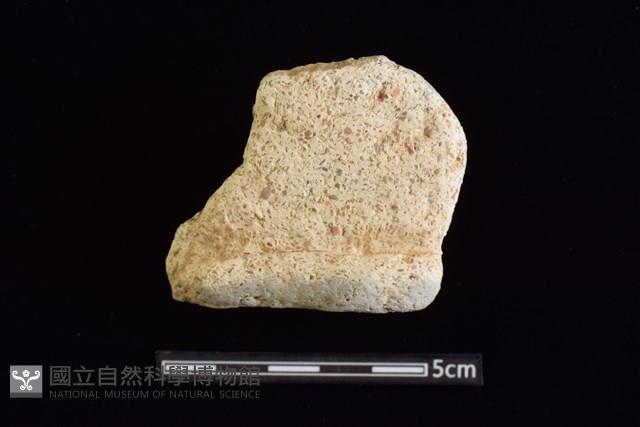 陶罐藏品圖，第1張