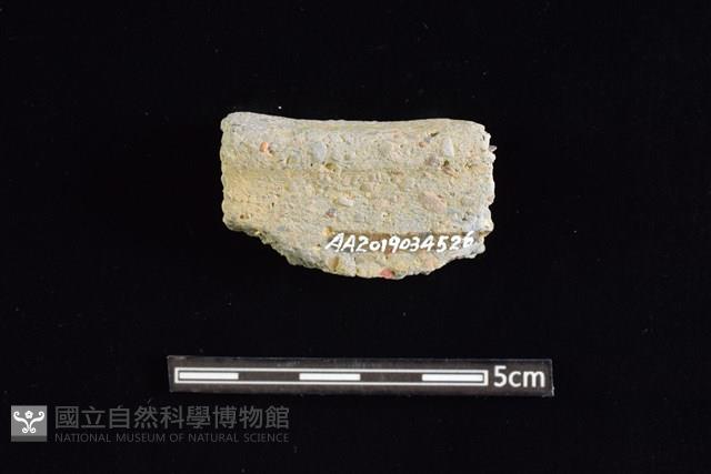 陶缽藏品圖，第1張