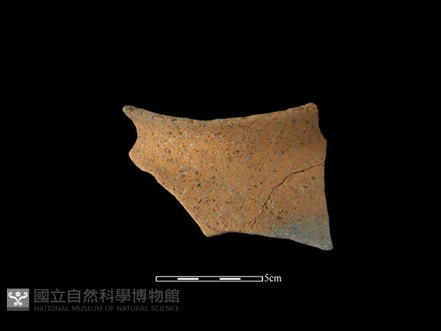 陶罐藏品圖，第1張