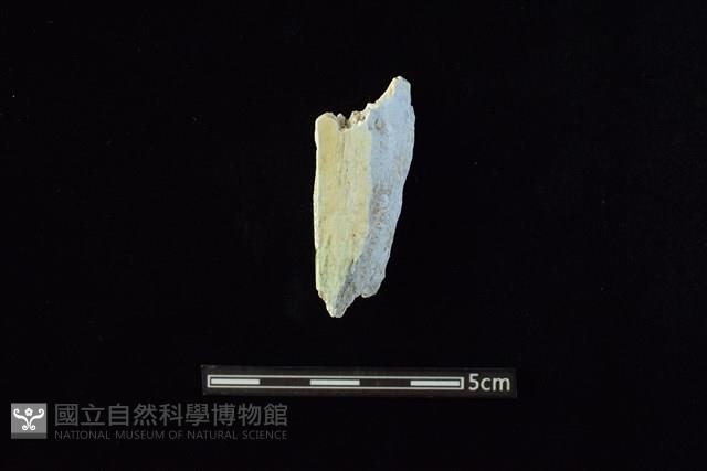 玉料藏品圖，第1張