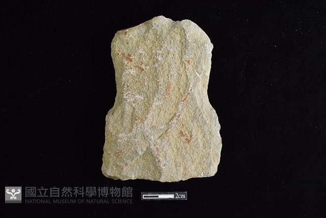 斧鋤形器藏品圖，第1張