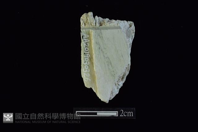 錛鑿形器藏品圖，第1張