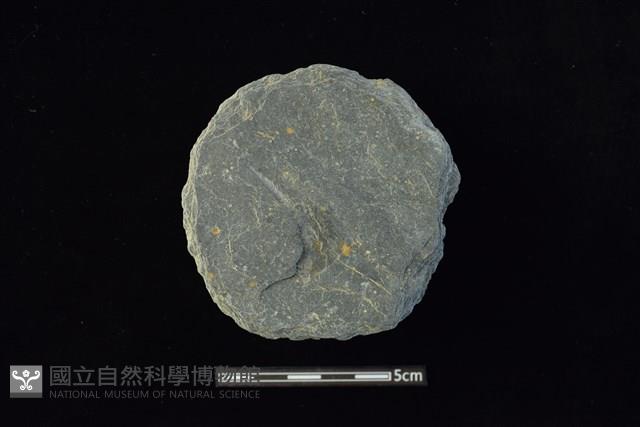 石圓片藏品圖，第1張