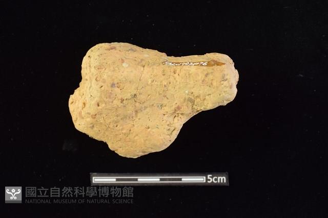 陶罐藏品圖，第2張