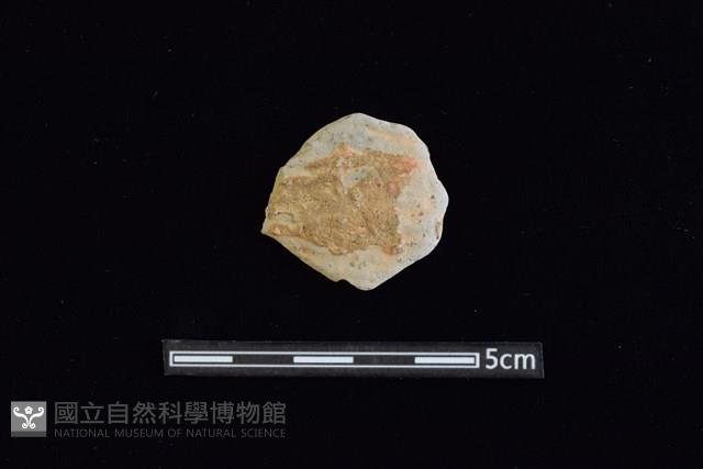 陶片藏品圖，第1張