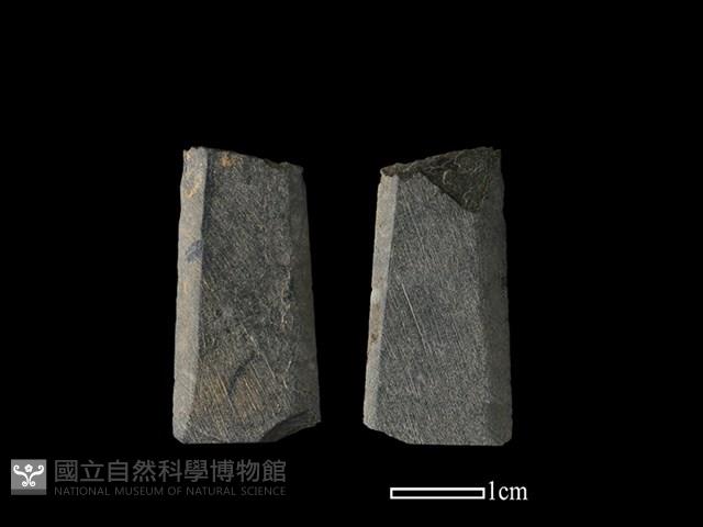 Accession Number:BY-2017-0176 Collection Image