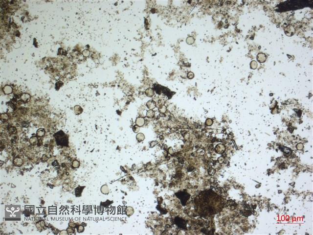 登錄號:A00004576藏品圖，第2張