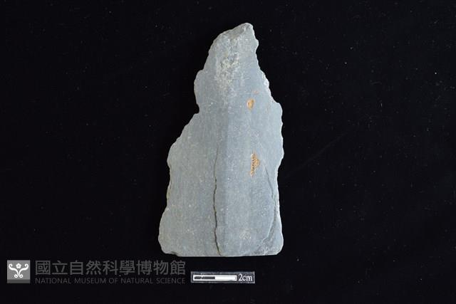 戈形器藏品圖，第1張