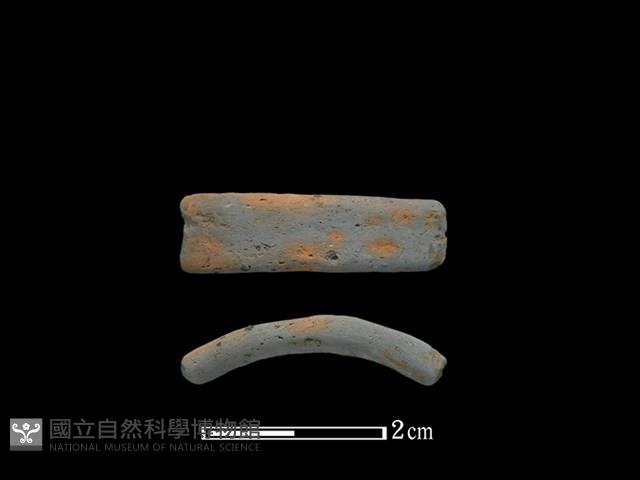 陶環藏品圖，第1張