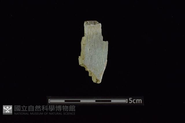 玉料藏品圖，第1張