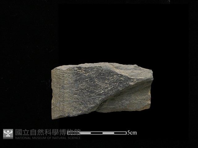 磨製斧鋤形器藏品圖，第1張
