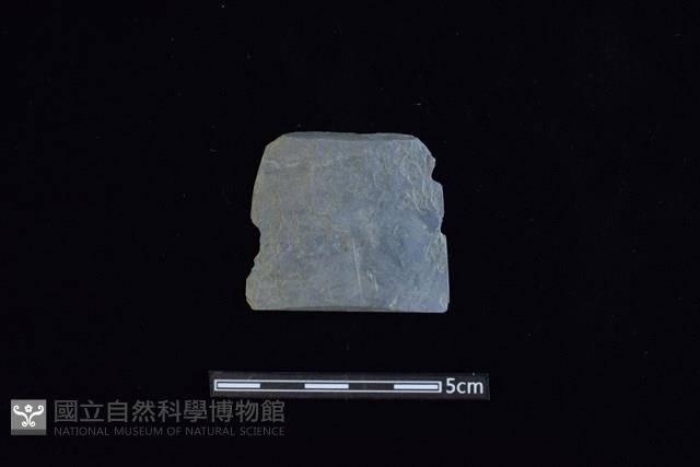 矛鏃形器藏品圖，第1張