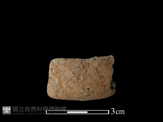 陶缽藏品圖，第1張