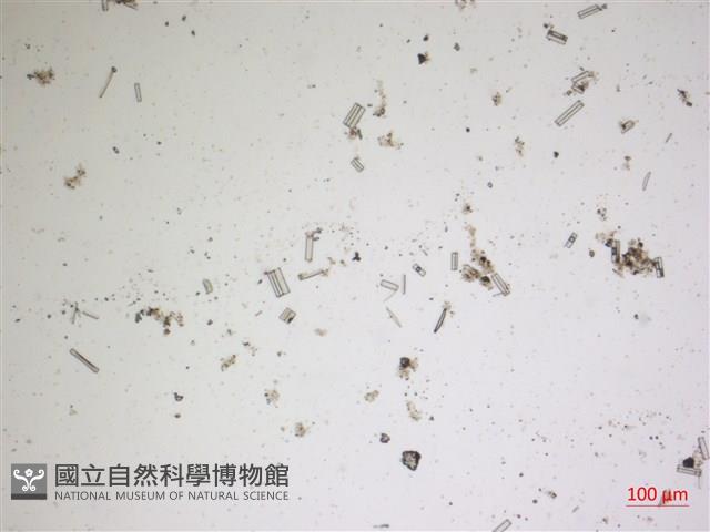 登錄號:A00004616藏品圖，第2張