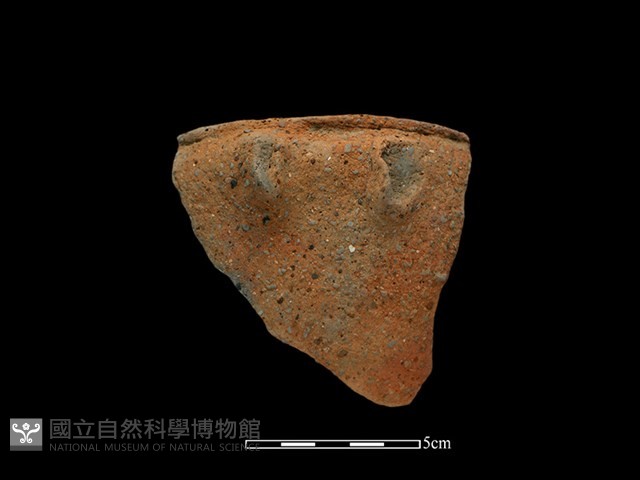 陶缽藏品圖，第1張