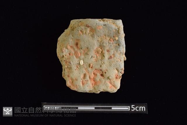 陶片藏品圖，第1張