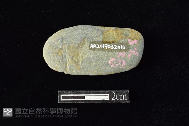 網墜藏品圖，第2張