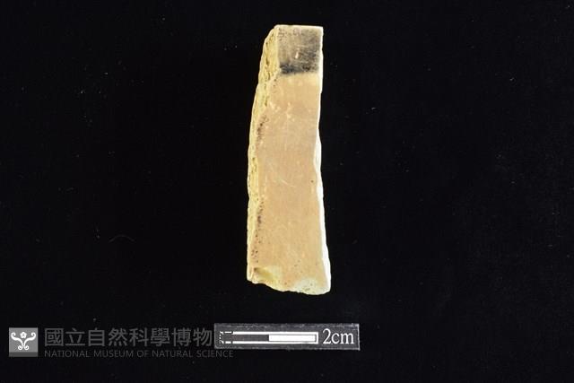 錛鑿形器藏品圖，第2張