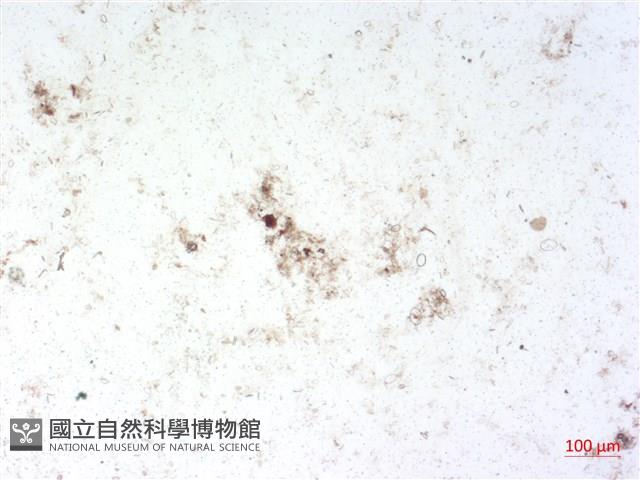 登錄號:A00004516藏品圖，第2張