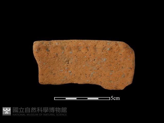 陶罐藏品圖，第1張