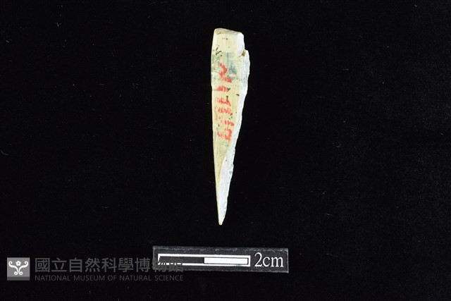 錛鑿形器藏品圖，第1張