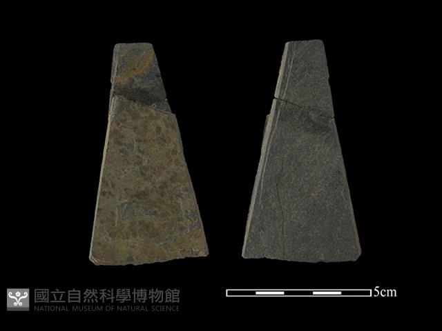 帶加工痕石材藏品圖，第1張