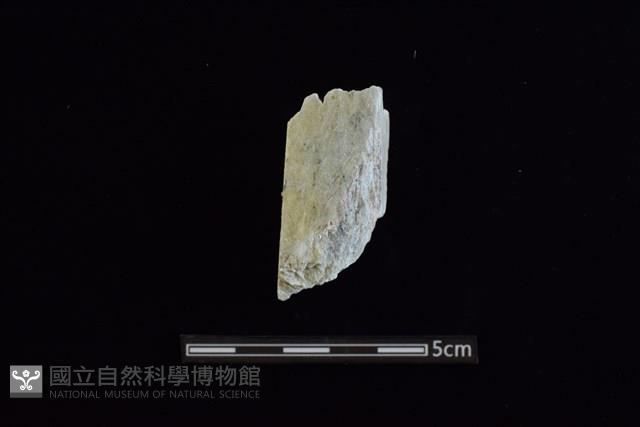 玉料藏品圖，第1張