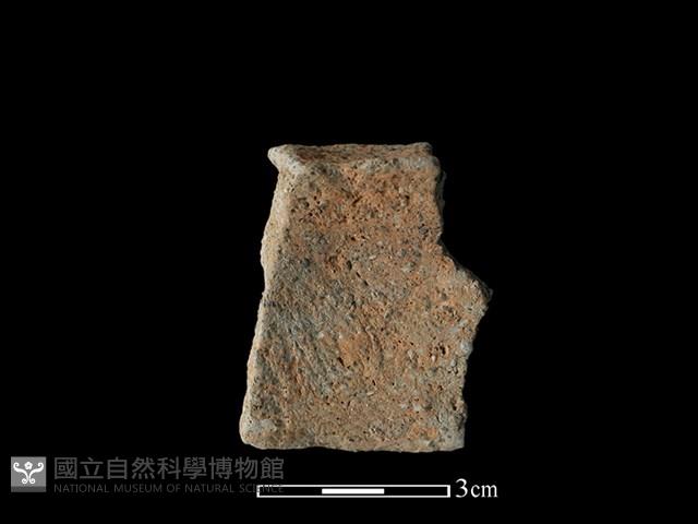 陶片藏品圖，第2張