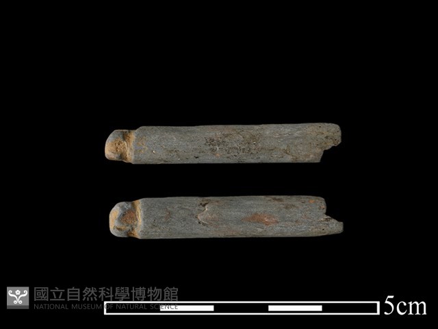 網墜藏品圖，第1張