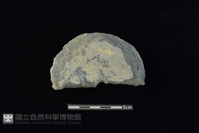 穿孔石板藏品圖，第1張