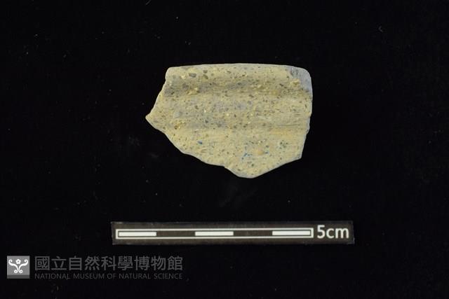 陶缽藏品圖，第1張