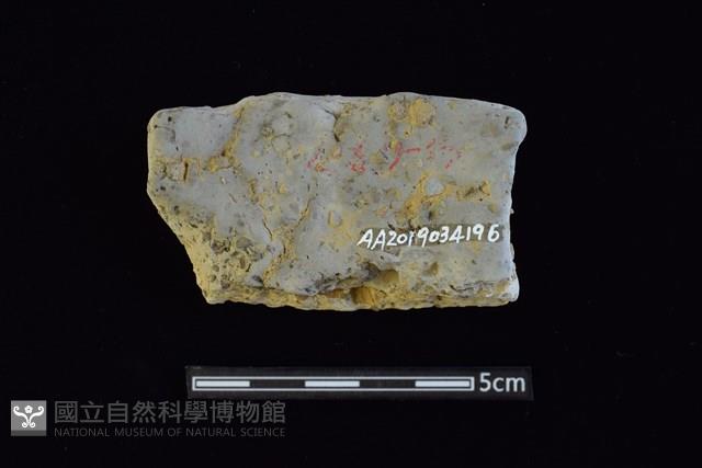 陶片藏品圖，第2張