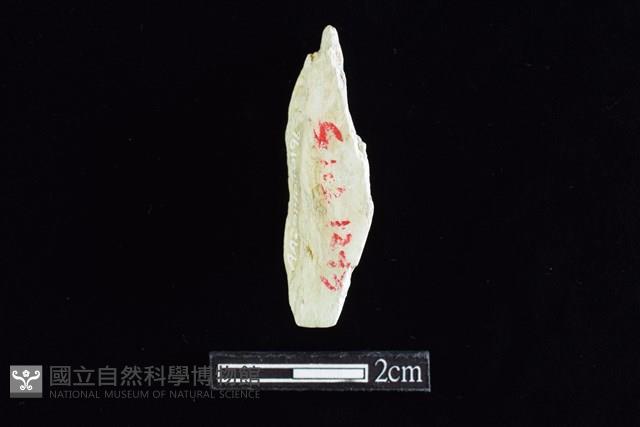 錛鑿形器藏品圖，第2張