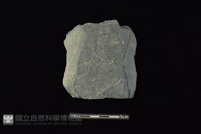 戈形器藏品圖，第1張