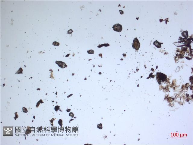 館號:A00004596藏品圖，第2張