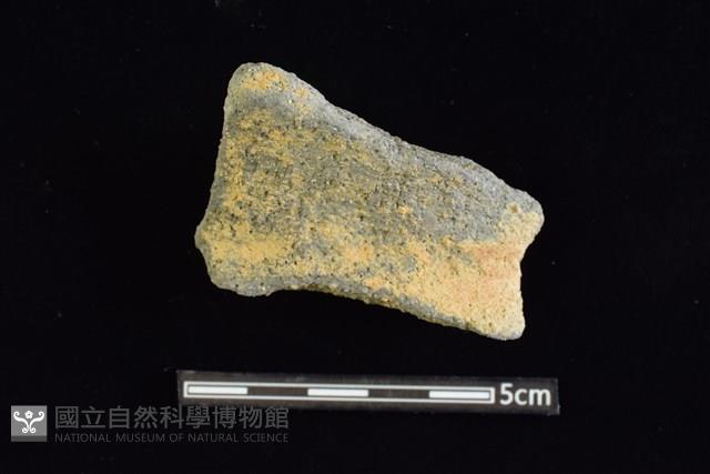 陶罐藏品圖，第1張