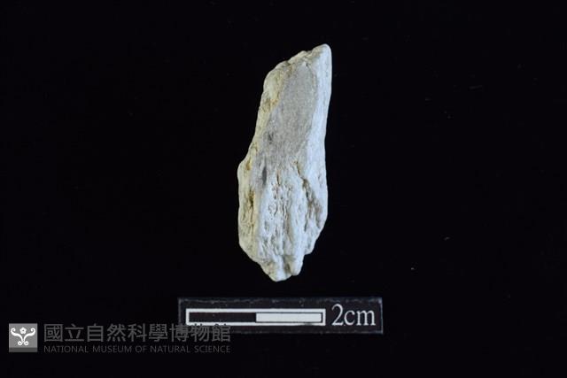 錛鑿形器藏品圖，第1張