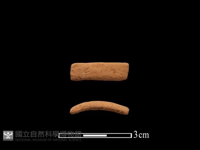 陶環藏品圖，第1張