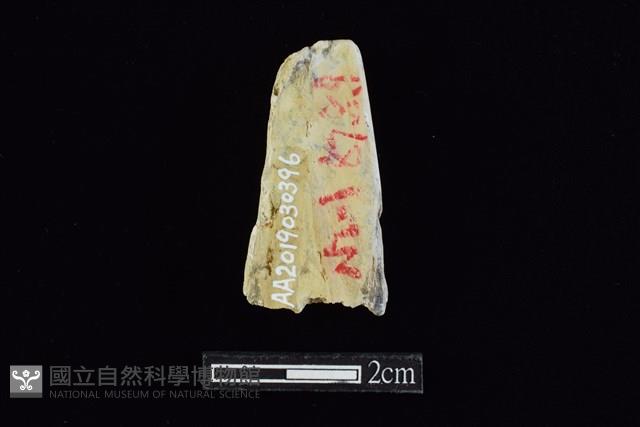 錛鑿形器藏品圖，第2張