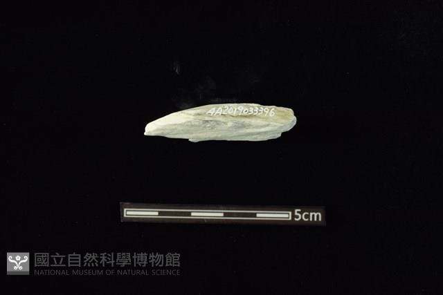 玉料藏品圖，第1張