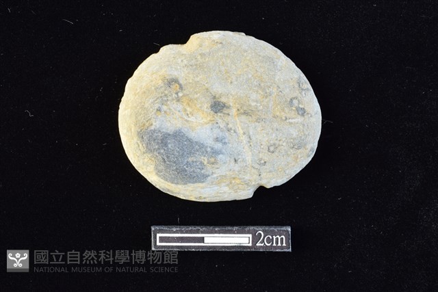 網墜藏品圖，第1張