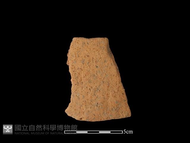 陶片藏品圖，第1張