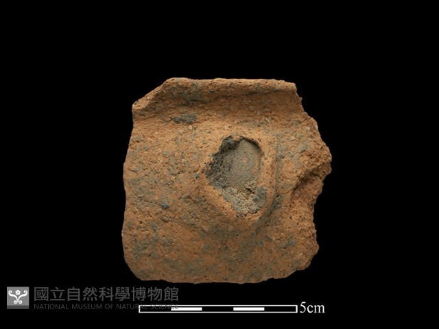 陶缽藏品圖，第1張